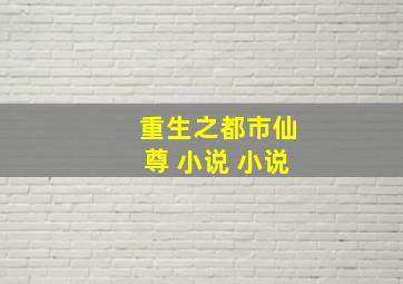 重生之都市仙尊 小说 小说